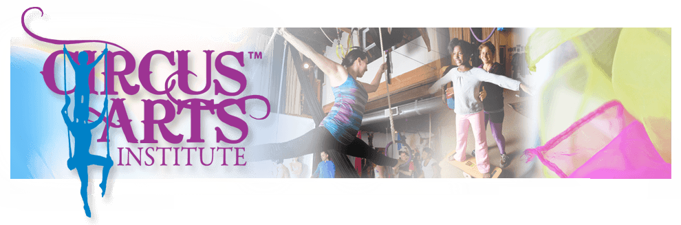 Aerial Teacher Training at Circus Arts Institute